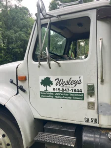 Custom vehicle magnets for Wesley’s Tree Services.