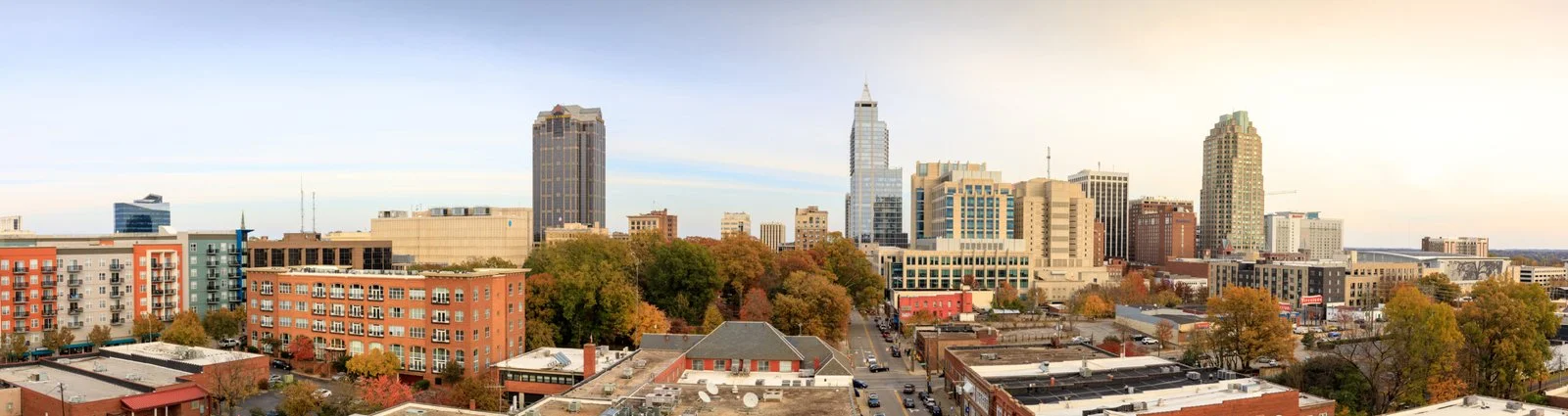 Raleigh skyline