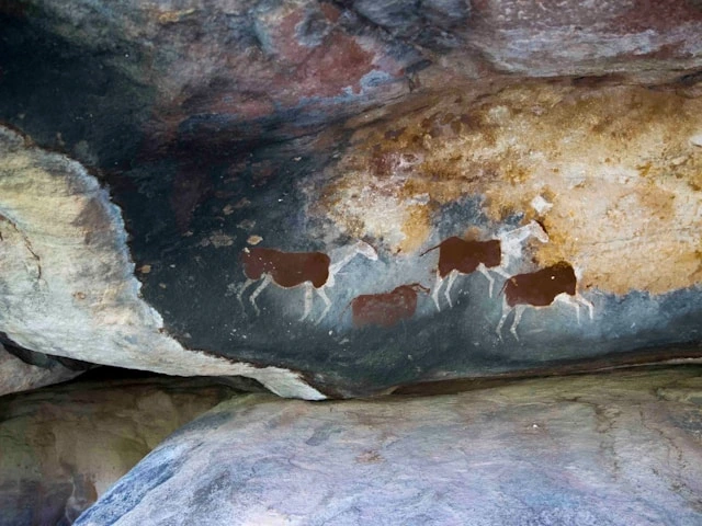 Cave paintings depicting animals in stylized form